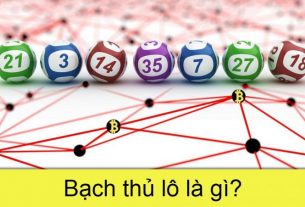 Bạch thủ lô là gì?